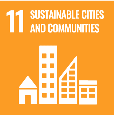 SDG 11